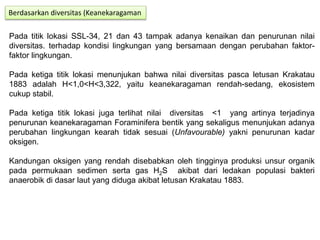 Pada titik lokasi SSL-34, 21 dan 43 tampak adanya kenaikan dan penurunan nilai
diversitas. terhadap kondisi lingkungan yang bersamaan dengan perubahan faktor-
faktor lingkungan.
Pada ketiga titik lokasi menunjukan bahwa nilai diversitas pasca letusan Krakatau
1883 adalah H<1,0<H<3,322, yaitu keanekaragaman rendah-sedang, ekosistem
cukup stabil.
Pada ketiga titik lokasi juga terlihat nilai diversitas <1 yang artinya terjadinya
penurunan keanekaragaman Foraminifera bentik yang sekaligus menunjukan adanya
perubahan lingkungan kearah tidak sesuai (Unfavourable) yakni penurunan kadar
oksigen.
Kandungan oksigen yang rendah disebabkan oleh tingginya produksi unsur organik
pada permukaan sedimen serta gas H2S akibat dari ledakan populasi bakteri
anaerobik di dasar laut yang diduga akibat letusan Krakatau 1883.
Berdasarkan diversitas (Keanekaragaman
 