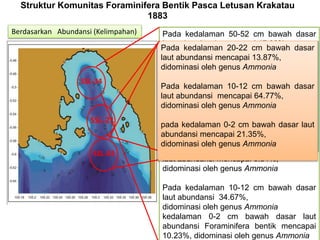 SSL-34
SSL-21
SSL-43
Berdasarkan Abundansi (Kelimpahan)
Struktur Komunitas Foraminifera Bentik Pasca Letusan Krakatau
1883
Pada kedalaman 50-52 cm bawah dasar
laut, abundansi mencapai 17.82%,
didominasi oleh genus Ammonia
Pada kedalaman 40-42 cm bawah dasar
laut, abundansi mencapai 35.66%,
didominasi oleh genus Ammonia
Pada kedalaman 30-32 cm bawah dasar
laut abundansi 0.62%,
didominasi oleh genus Ammonia
Pada kedalaman 20-22 cm bawah dasar
laut abundansi mencapai 0.81%,
didominasi oleh genus Ammonia
Pada kedalaman 10-12 cm bawah dasar
laut abundansi 34.67%,
didominasi oleh genus Ammonia
kedalaman 0-2 cm bawah dasar laut
abundansi Foraminifera bentik mencapai
10.23%, didominasi oleh genus Ammonia
Pada kedalaman 20-22 cm bawah dasar
laut abundansi mencapai 53.24%,
didominasi oleh genus Ammonia
Pada kedalaman 10-12 cm bawah dasar
laut abundansi mencapai 22.78%,
didominasi oleh genus Ammonia
pada kedalaman 0-2 cm bawah dasar laut
abundansi 23.96%,
didominasi oleh genus Ammonia
Pada kedalaman 20-22 cm bawah dasar
laut abundansi mencapai 13.87%,
didominasi oleh genus Ammonia
Pada kedalaman 10-12 cm bawah dasar
laut abundansi mencapai 64.77%,
didominasi oleh genus Ammonia
pada kedalaman 0-2 cm bawah dasar laut
abundansi mencapai 21.35%,
didominasi oleh genus Ammonia
 
