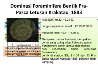 Dominasi Foraminifera Bentik Pra-
Pasca Letusan Krakatau 1883
Dominasi merupakan gambaran yang mencakup karakteristik sifat kuantitatif
suatu komunitas
Penentuan spesies-spesies yang dominan pada penelitian ini, adalah dengan
menggunakan rumus perbandingan nilai penting (summed dominance ratio).
Nilai dominan disebut sebagai nilai penting karena akan mempunyai keberartian
suatu spesies pada suatu komunitas. Semakin tinggi nilai penting suatu spesies
maka semakin berarti keberadaan spesies tersebut pada komunitas itu.
SSL-34 SSL-21 SSL-43
Rank Genus SDR % Genus SDR % Genus SDR %
1 Ammonia 46.25 Ammonia 40.82 Ammonia 46.07
2 Elphidium 11.28 Elphidium 12.77 Elphidium 13.5
3 Nonion 8.1 Nonion 11.3 Nonion 11.3
4 Bolivina 5.45 Quinquequlina 6.52 Hyalinea 6.5
5 Quinquequlina 5.37 Hyalinea 6.5 Bolivina 5.22
6 Spiroluculina 4.81 Spiroluculina 6.02 Cancris 4.69
7 Cancris 4.57 Cancris 5.74 Quinquequlina 3.62
8 Hyalinea 3.42 Bolivina 5.22 Spiroluculina 3.62
Delapan besar nilai penting genus Foraminifera bentik pra-pasca letusan Krakatau 1883 di Teluk Lampungnilai SDR: 40,82- 46,25 %,
dengan kepadatan relatif 72.95-82.39 %
frekuensi relatif 10,11–11,76 %
Menujukan bahwa Ammonia merupakan
genus yang paling adaptif diantara genus
Foraminifera bentik lainnya dan memiliki
nilai keberartian dalam komunitas
Foraminifera
bentik di stasiun SSL 21- 34 dan 43 Pra-
pasca letusan Krakatau 1883 perairan Teluk
Lampung.
 