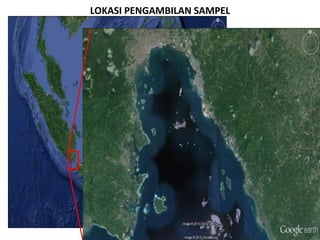LOKASI PENGAMBILAN SAMPEL
 
