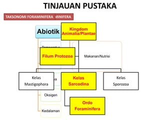 TINJAUAN PUSTAKA
PENGONTROL EKOLOGI FORAMINIFERA
Abiotik
Temperatur
Salinitas
Cahaya
Oksigen
Kedalaman
Biotik
Makanan/Nutrisi
Kingdom
Animalia/Plantae
Kelas
Mastigophora
Kelas
Sarcodina
Ordo
Foraminifera
Kelas
Sporozoa
Filum Protozoa
TAKSONOMI FORAMINIFERA
 