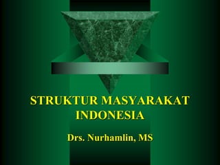 STRUKTUR MASYARAKAT 
INDONESIA 
Drs. Nurhamlin, MS 
 