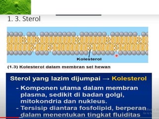 • Sel induk bereplikasi terkadang
menghasilkan sel anak yang termutasi
• sel anak belum tentu merupakan replika
persis dari induknya
• Mutasi dapat membuat keturunan yang
berubah menjadi lebih buruk, berubah
menjadi lebih baik atau berubah secara
netral.
• pola hereditas mungkin diperumit oleh
reproduksi seksual
• Prinsip-prinsip sederhana dari perubahan
dan seleksi genetik ini, yang diterapkan
berulang kali selama miliaran generasi sel,
adalah dasar evolusi
 