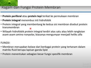 Organelles Cooperate
Organelles work together to allow the cell
to accomplish its job.
 