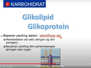 Endoplasmic Reticulum
(ER)
• A system of folded membranes
that transport proteins within the
cell
 