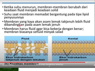 Cell Membrane
• Regulates what enters and leaves the cell.
 