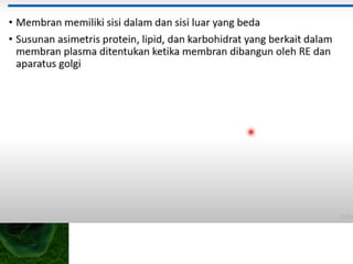 Cell wall
• The cell wall provides support to
plant cells and bacteria.
 