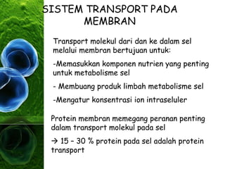 SISTEM TRANSPORT PADA
MEMBRAN
Transport molekul dari dan ke dalam sel
melalui membran bertujuan untuk:
-Memasukkan komponen nutrien yang penting
untuk metabolisme sel
- Membuang produk limbah metabolisme sel
-Mengatur konsentrasi ion intraseluler
Protein membran memegang peranan penting
dalam transport molekul pada sel
 15 – 30 % protein pada sel adalah protein
transport
 