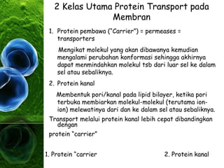 2 Kelas Utama Protein Transport pada
Membran
1. Protein pembawa (“Carrier”) = permeases =
transporters
Mengikat molekul yang akan dibawanya kemudian
mengalami perubahan konformasi sehingga akhirnya
dapat menmindahkan molekul tsb dari luar sel ke dalam
sel atau sebaliknya.
2. Protein kanal
Membentuk pori/kanal pada lipid bilayer, ketika pori
terbuka membiarkan molekul-molekul (terutama ion-
ion) melewatinya dari dan ke dalam sel atau sebaliknya.
Transport melalui protein kanal lebih cepat dibandingkan
dengan
protein “carrier”
1. Protein “carrier 2. Protein kanal
 