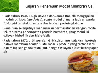 Sejarah Penemuan Model Membran Sel
 