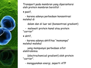 Transport pada membran yang diperantarai
oleh protein membran bersifat :
♦ pasif,
- karena adanya perbedaan konsentrasi
molekul di
dalam dan di luar sel (konsentrasi gradient)
- melewati protein kanal atau protein
“carrier”
♦ aktif,
- karena adanya aktifitas “memompa”
molekul-molekul
yang mempunyai perbedaan sifat
elektrokimia
(electrochemical gradient) oleh protein
“carrier”.
- menggunakan energi, seperti ATP
 