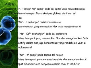 Contoh:
♦ simport : “ATP-driven Na+ pump” pada sel epitel usus halus dan ginjal
ATP membantu transport Na+ sekaligus glukosa dari luar sel
ke dalam sel
♦ antiport : * “Na+ - H+ exchanger” pada kebanyakan sel
Sistem transport yang memasukan Na+ tetapi mengeluarkan H+
* “Na+ - Ca2+ exchanger” pada sel eukariota
Sistem tranport yang memasukan Na+ dan mengeluarkan Ca2+
Penting dalam menjaga konsentrasi yang rendah ion Ca2+ di
sitoplasma sel
* “Na+ - K+ pump” pada semua sel hewan
Sistem transport yang memasukkan Na- dan mengeluarkan K+
Dapat dihambat oleh senyawa ouabain atau K+ inhibitor
 
