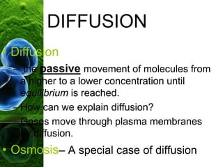 • Diffusion
– the passive movement of molecules from
a higher to a lower concentration until
equilibrium is reached.
–How can we explain diffusion?
–Gases move through plasma membranes
by diffusion.
• Osmosis– A special case of diffusion
DIFFUSION
 
