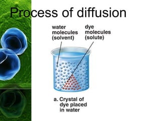 Process of diffusion
 