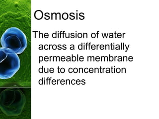 Osmosis
The diffusion of water
across a differentially
permeable membrane
due to concentration
differences
 