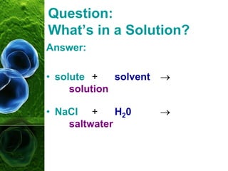 Question:
What’s in a Solution?
Answer:
• solute + solvent 
solution
• NaCl + H20 
saltwater
 