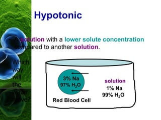 Hypotonic
• A solution with a lower solute concentration
compared to another solution.
3% Na
97% H2O
Red Blood Cell
1% Na
99% H2O
solution
Which
way
will
the
water
move?
 