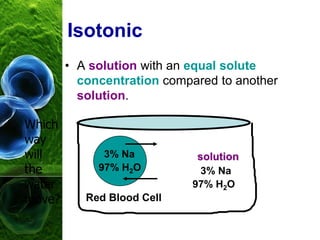 Isotonic
• A solution with an equal solute
concentration compared to another
solution.
3% Na
97% H2O
Red Blood Cell
3% Na
97% H2O
solution
Which
way
will
the
water
move?
 