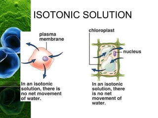 ISOTONIC SOLUTION
 