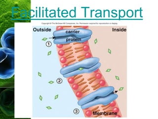 Facilitated Transport
 