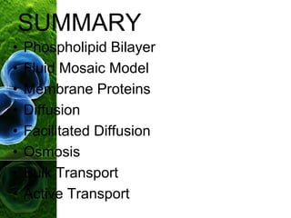 SUMMARY
• Phospholipid Bilayer
• Fluid Mosaic Model
• Membrane Proteins
• Diffusion
• Facilitated Diffusion
• Osmosis
• Bulk Transport
• Active Transport
 