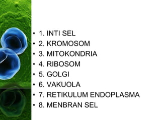 • 1. INTI SEL
• 2. KROMOSOM
• 3. MITOKONDRIA
• 4. RIBOSOM
• 5. GOLGI
• 6. VAKUOLA
• 7. RETIKULUM ENDOPLASMA
• 8. MENBRAN SEL
 