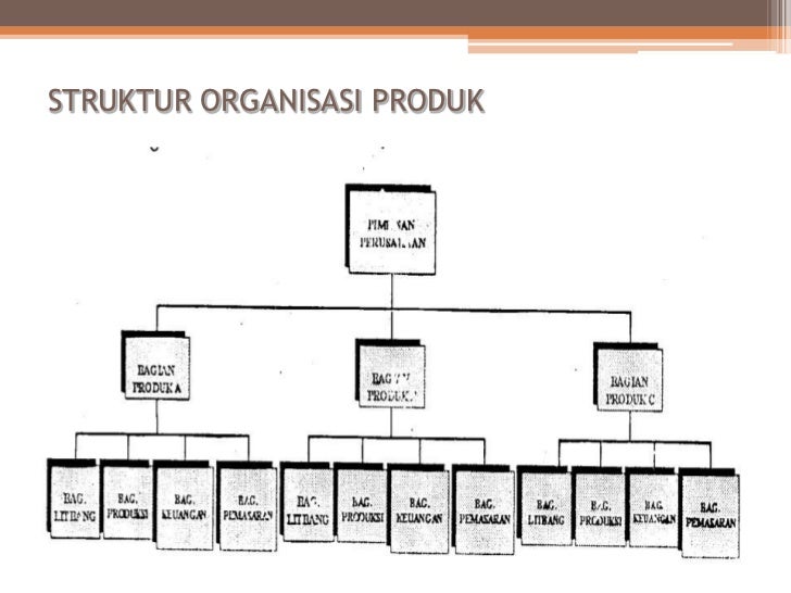 Struktur organisasi Struktur organisasi