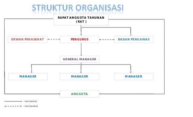 STRUKTUR ORGANISASI KOPERASI