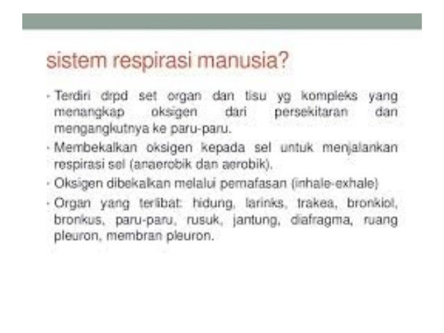 Adaptasi Dalam Sistem Respirasi