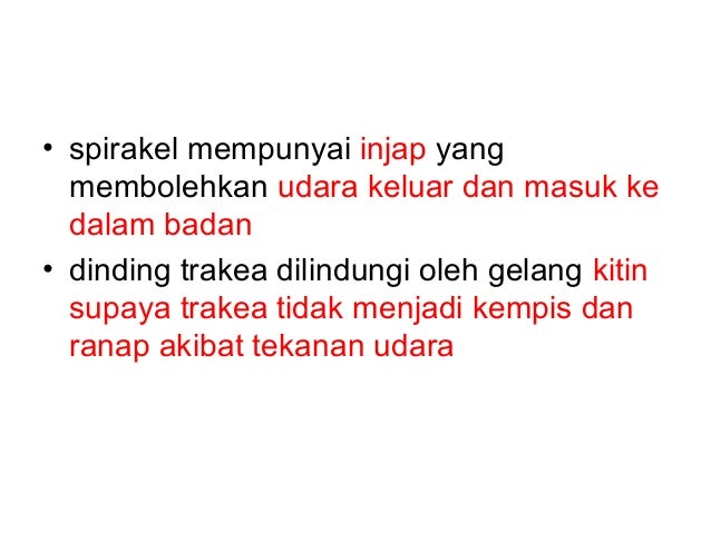 Struktur Respirasi Dan Mekanisme Pernafasan Dalam Manusia Dan Haiwan 2