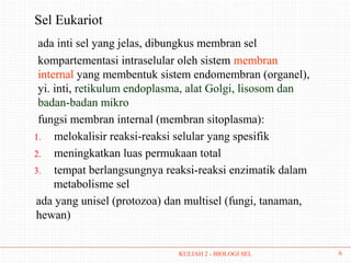 Sel Eukariot
 ada inti sel yang jelas, dibungkus membran sel
 kompartementasi intraselular oleh sistem membran
 internal yang membentuk sistem endomembran (organel),
 yi. inti, retikulum endoplasma, alat Golgi, lisosom dan
 badan-badan mikro
 fungsi membran internal (membran sitoplasma):
1. melokalisir reaksi-reaksi selular yang spesifik
2. meningkatkan luas permukaan total
3. tempat berlangsungnya reaksi-reaksi enzimatik dalam
     metabolisme sel
ada yang unisel (protozoa) dan multisel (fungi, tanaman,
hewan)


                             KULIAH 2 - BIOLOGI SEL        6
 