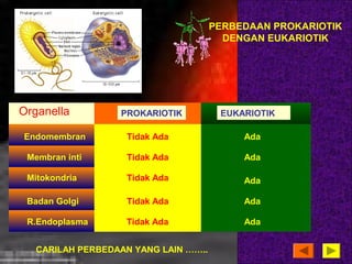 Organella PROKARIOTIK EUKARIOTIK 
Endomembran Tidak Ada Ada 
Membran inti Tidak Ada Ada 
Mitokondria Tidak Ada 
Tidak Ada 
Tidak Ada 
Ada 
Ada 
Ada 
Badan Golgi 
R.Endoplasma 
PERBEDAAN PROKARIOTIK 
DENGAN EUKARIOTIK 
CARILAH PERBEDAAN YANG LAIN …….. 
 