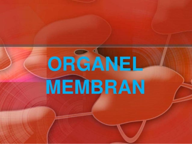 Struktur sel dan organel