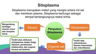 STRUKTUR SEL_KLS 11.pptxxxxxxxxxxxxxxxxxc | PPTX