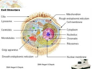 Budi Mulyana, S.Pd SMA Negeri 2 Aikmel
SMA Negeri 6 Depok
SMA Negeri 6 Depok
 