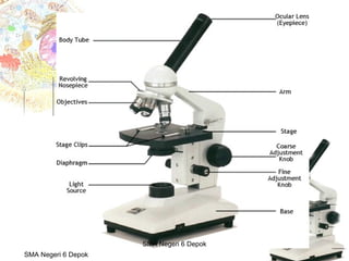 Budi Mulyana, S.Pd SMA Negeri 2 Aikmel
SMA Negeri 6 Depok
SMA Negeri 6 Depok
 