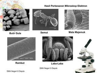 Budi Mulyana, S.Pd SMA Negeri 2 Aikmel
Hasil Perbesaran Mikroskop Elektron
Butir Gula
Rambut
Semut
Laba-Laba
Mata Majemuk
SMA Negeri 6 Depok
SMA Negeri 6 Depok
 