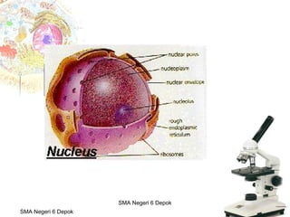 Budi Mulyana, S.Pd SMA Negeri 2 Aikmel
SMA Negeri 6 Depok
SMA Negeri 6 Depok
 