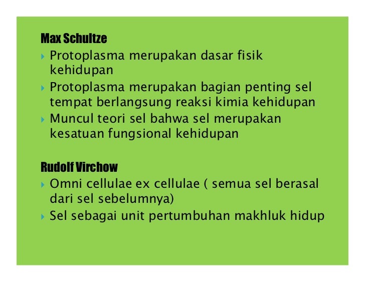 Struktur Sel Oleh Ismail Struktur Sel Oleh Ismail