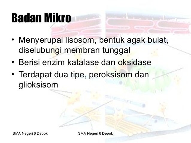 Mengapa Mitokondria Sering Disebut The Powerhouse Of Cell Recommended
