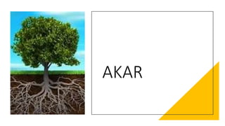 Struktur Tanaman (Akar) | PPTX