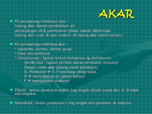 Struktur Tumbuhan 67201668