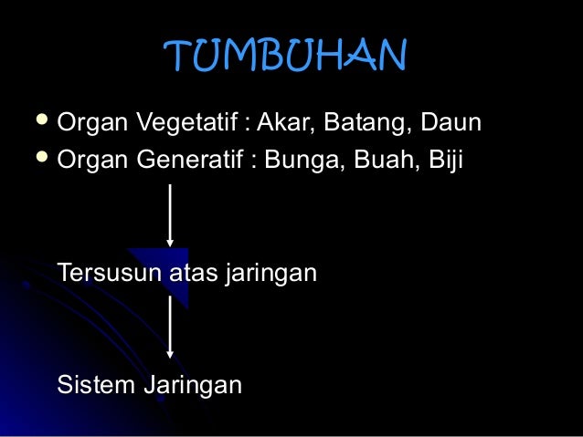 Struktur Tumbuhan 67201668