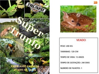 VEADO

PESO: 200 KG

TAMANHO: 120 CM

TEMPO DE VIDA: 13 ANOS

TEMPO DE GESTAÇÃO: 240 DIAS

NUMERO DE FILHOTES: 1
 