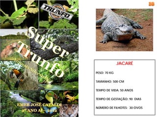 JACARÉ

PESO: 70 KG

TAMANHO: 500 CM

TEMPO DE VIDA: 50 ANOS

TEMPO DE GESTAÇÃO: 90 DIAS

NÚMERO DE FILHOTES: 30 OVOS
 