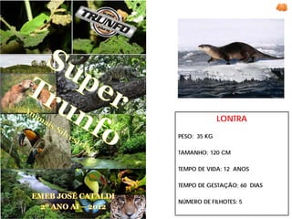 LONTRA

PESO: 35 KG

TAMANHO: 120 CM

TEMPO DE VIDA: 12 ANOS

TEMPO DE GESTAÇÃO; 60 DIAS

NÚMERO DE FILHOTES: 5
 
