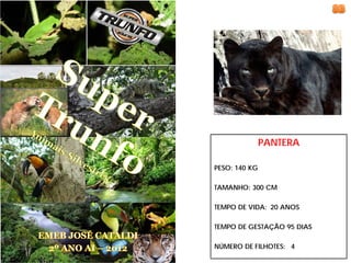 PANTERA

PESO: 140 KG

TAMANHO: 300 CM

TEMPO DE VIDA: 20 ANOS

TEMPO DE GESTAÇÃO 95 DIAS

NÚMERO DE FILHOTES: 4
 