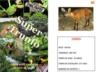 CERVO


PESO: 100 KG

TAMANHO: 200 CM

TEMPO DE VIDA: 30 ANOS

TEMPO DE GESTAÇÃO: 271 DIAS

NÚMERO DE FILHOTES: 1
 