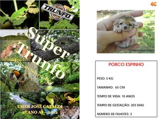 PORCO ESPINHO


PESO: 5 KG

TAMANHO: 65 CM

TEMPO DE VIDA: 10 ANOS

TEMPO DE GESTAÇÃO: 203 DIAS

NÚMERO DE FILHOTES: 3
 