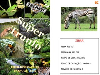 ZEBRA

PESO: 405 KG

TAMANHO: 275 CM

TEMPO DE VIDA: 30 ANOS

TEMPO DE GESTAÇÃO: 390 DIAS

NÚMERO DE FILHOTES: 1
 